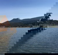 Private Denver and Foothills Mountain Tour - Accommodation Houston