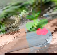 Small-Group Cocktail Tour in Denver - Accommodation Houston