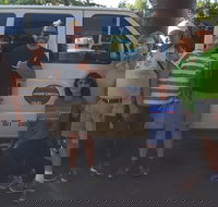 Grand Canyon Sightseeing Tour from Flagstaff - Accommodation Houston