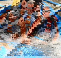 Classic Salt River Raft Trip - Accommodation Houston