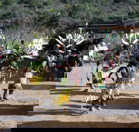 Half-Day Salt River Raft Trip - Accommodation Houston