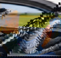 Historical Baltimore Self-Driving Sightseeing Audio Tour - Accommodation Houston