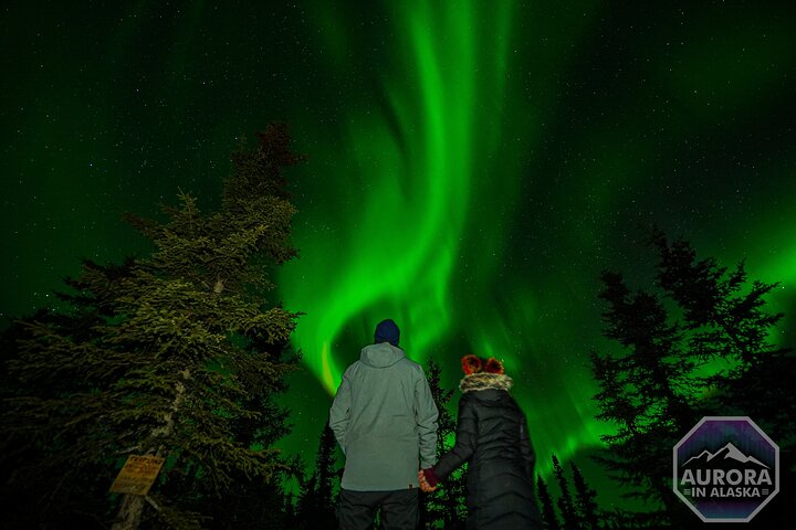 Incredible Aurora Viewing Adventure - thumb 5