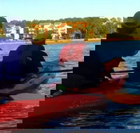 Dolphins and Wildlife Kayak Experience from Gulf Shores - Accommodation Houston