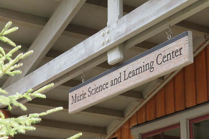 10 Hours Denali Winter Drive In Alaska - thumb 4